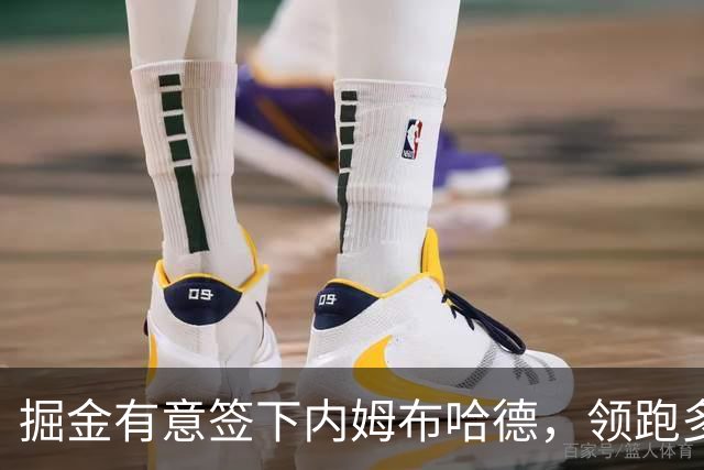 掘金有意签下内姆布哈德，领跑多队竞争